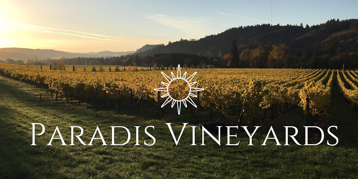 Paradis Vineyards — photo 1
